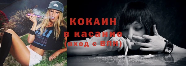 PSILOCYBIN Гусев