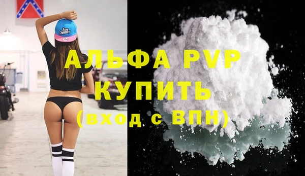 PSILOCYBIN Гусев