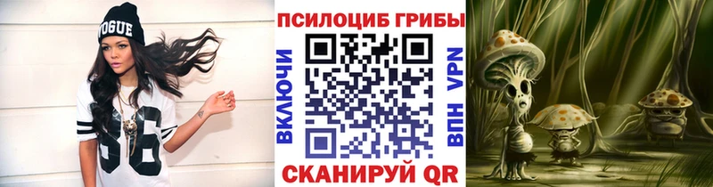 Псилоцибиновые грибы Cubensis  как найти закладки  Новохопёрск 